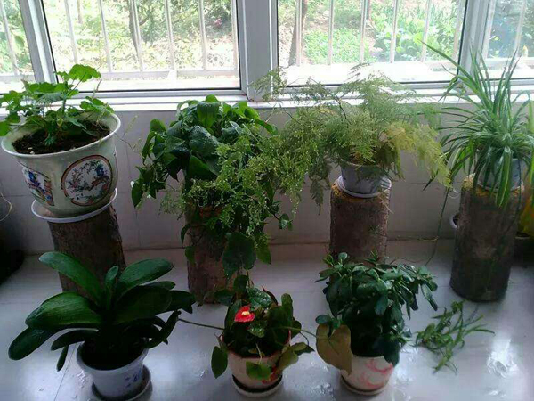 粤产防蚊灭蚊产品筑起立体防护网