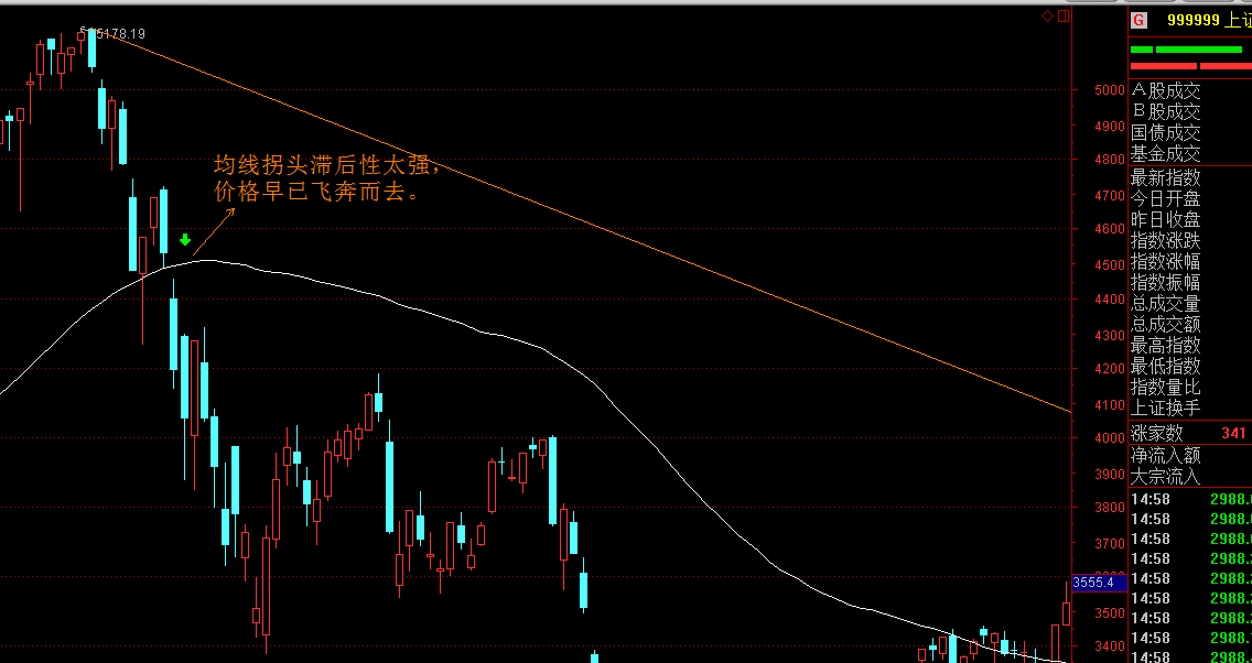 大桥海关查获一起走私濒危鱼翅出境案