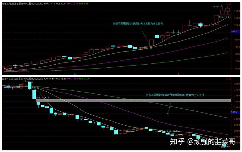 青海省市场监管局多措并举促进网络交易市场即时配送行业高质量发展